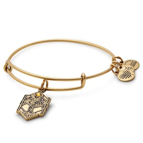 Alex and Ani Jewelry - Alex and Ani | Tree of Life Charm Bangle